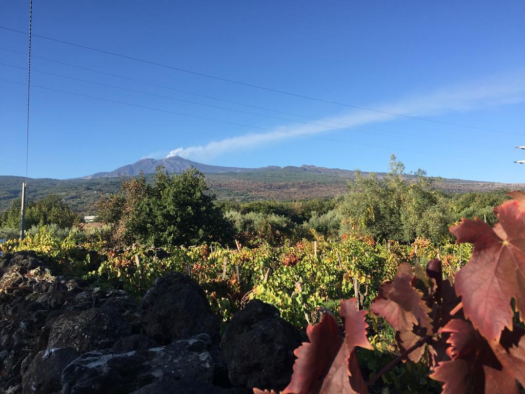 Etna Vintage Hotel Linguaglossa Ngoại thất bức ảnh